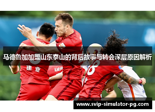 马德鲁加加盟山东泰山的背后故事与转会深层原因解析