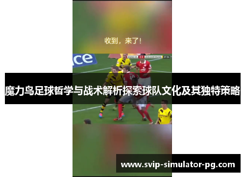 魔力鸟足球哲学与战术解析探索球队文化及其独特策略