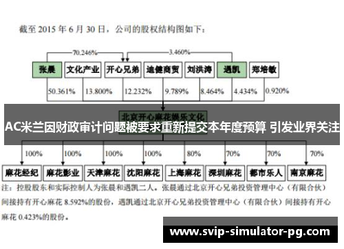AC米兰因财政审计问题被要求重新提交本年度预算 引发业界关注